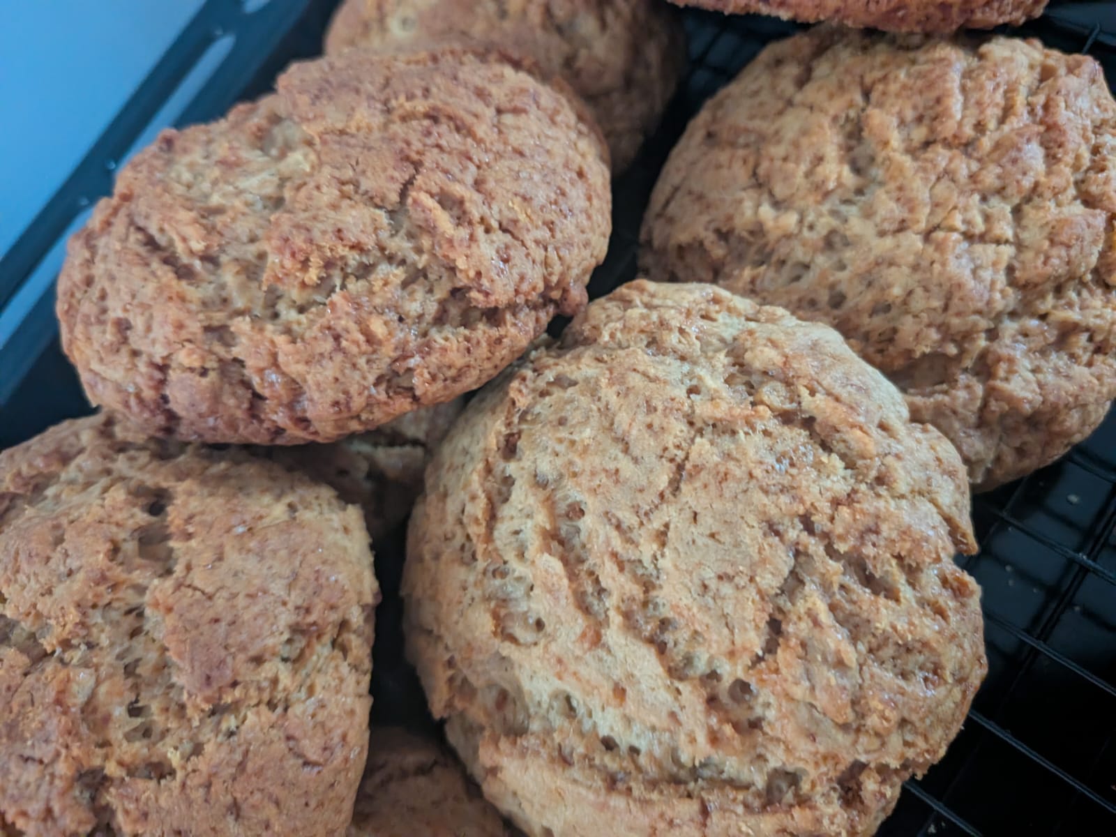 Ginger Biscuits