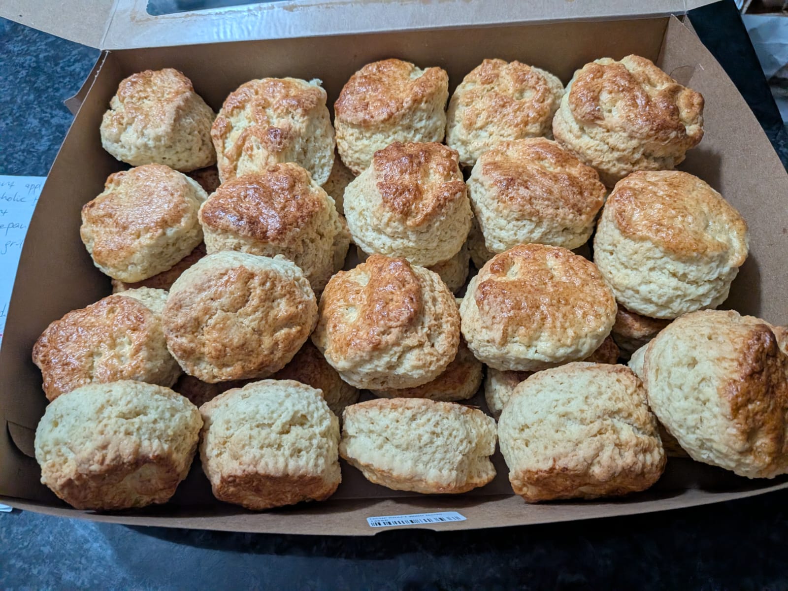 Plain Scones